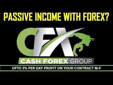 Create your passive income stream with CashFX Group